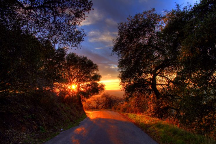 roads, Sunrises, And, Sunsets, Trees, Nature HD Wallpaper Desktop Background