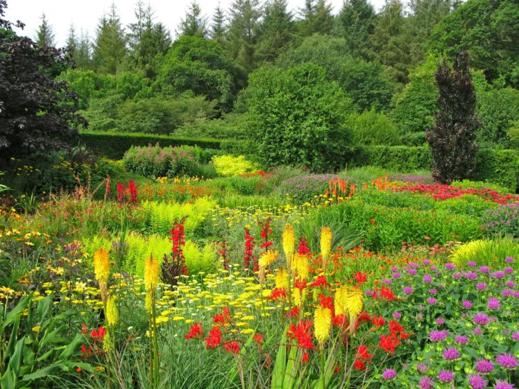 united, Kingdom, Gardens, Shrubs, Trees, Rosemoor, Gardens, Nature HD Wallpaper Desktop Background