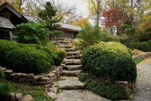 usa, Stairs, Shrubs, Fort, Worth, Texas, Nature