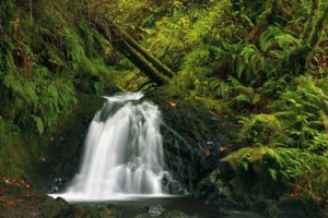 usa, Waterfalls, Moss, Latourell, Oregon, Nature