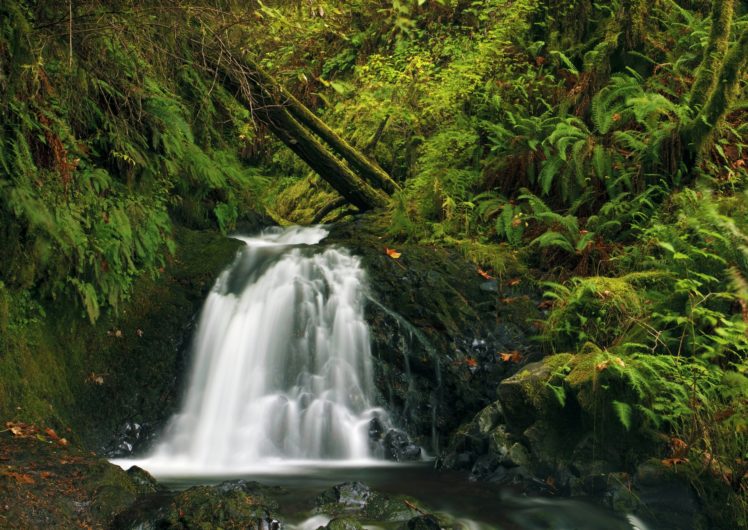 usa, Waterfalls, Moss, Latourell, Oregon, Nature HD Wallpaper Desktop Background