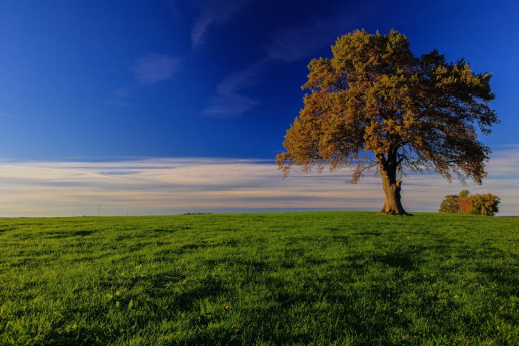 germany, Sky, Bavaria, Trees, Grass, Nature HD Wallpaper Desktop Background