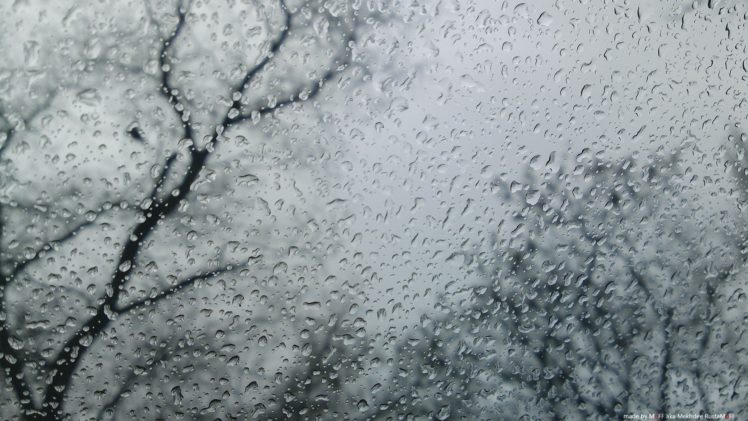 trees, Rain, Window, Panes, Rain, On, Glass HD Wallpaper Desktop Background
