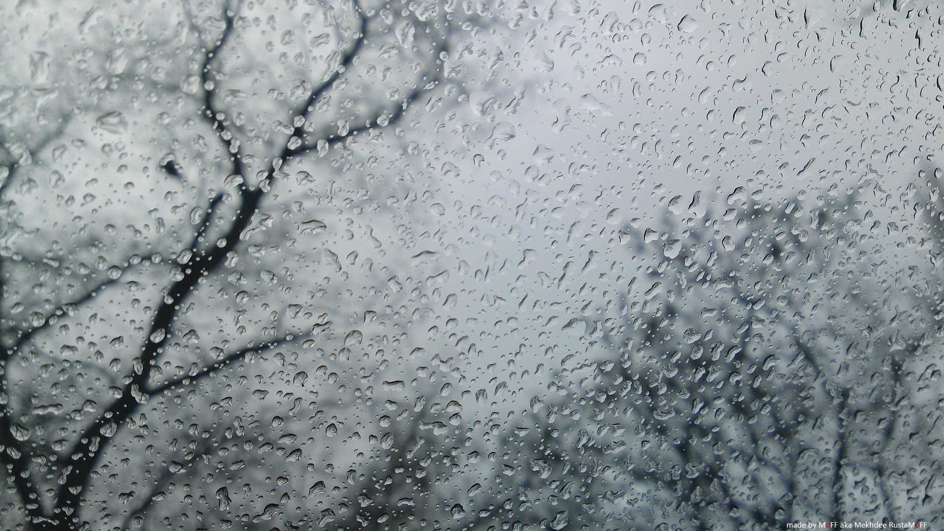 trees, Rain, Window, Panes, Rain, On, Glass Wallpaper
