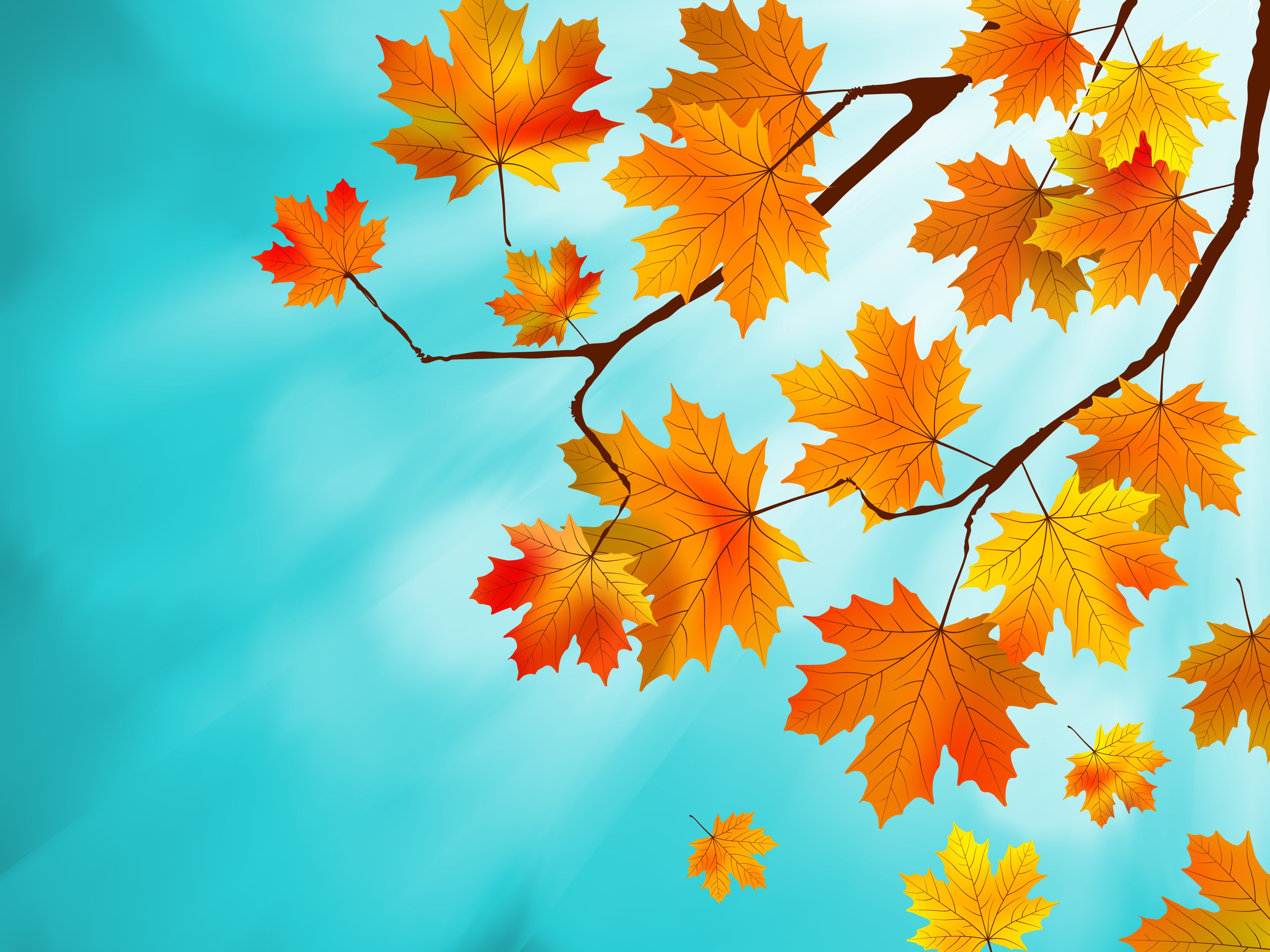 autumn, Foliage, Maple, Branches, Nature Wallpapers HD / Desktop and