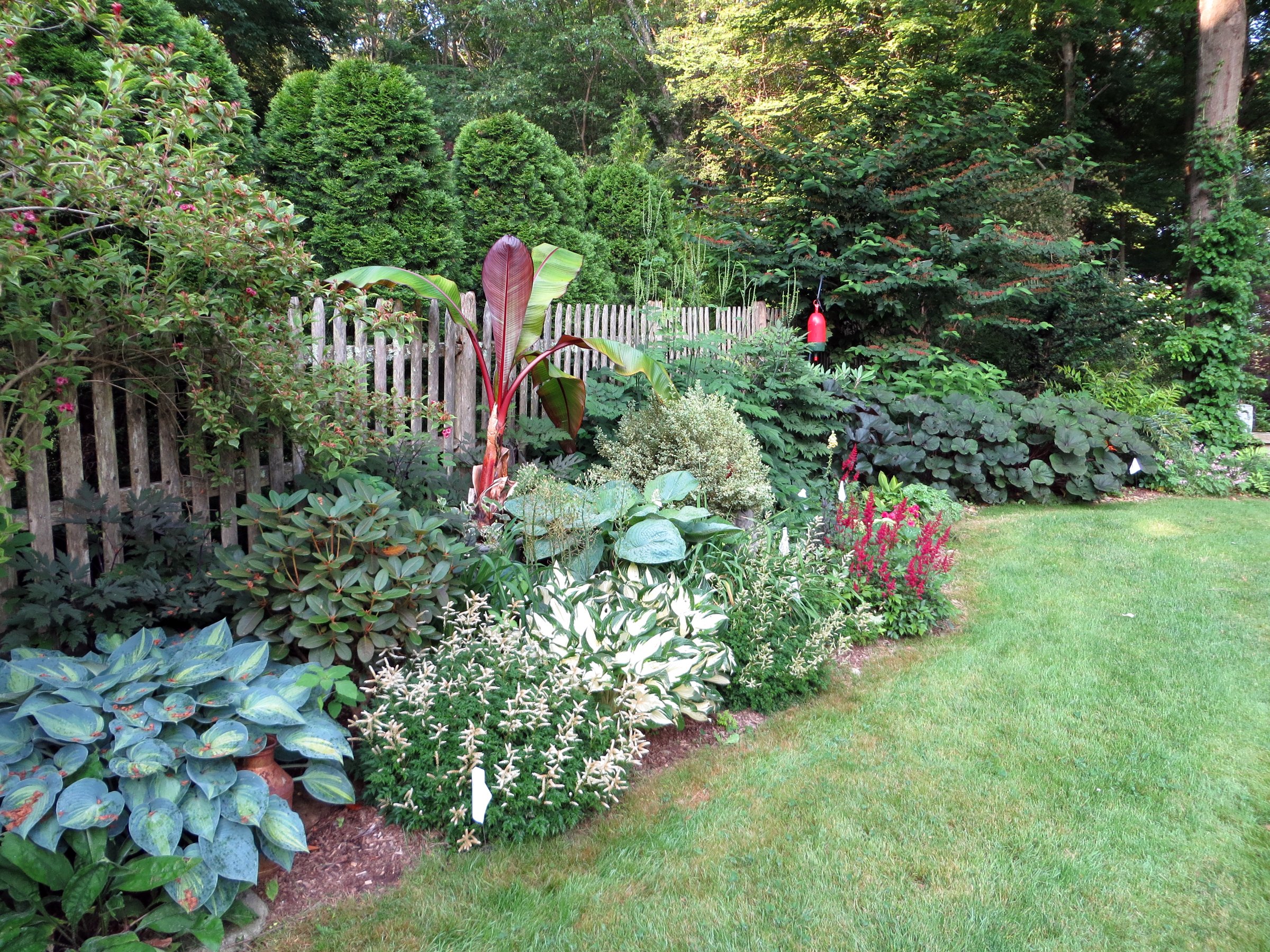 gardens, Shrubs, Grass, Fence, Nature