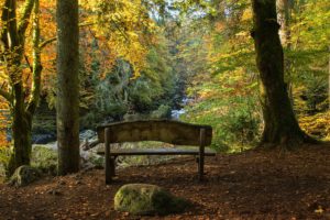 scotland, Parks, Autumn, Stones, Trees, Bench, Trunk, Tree, Hermitage, Nature