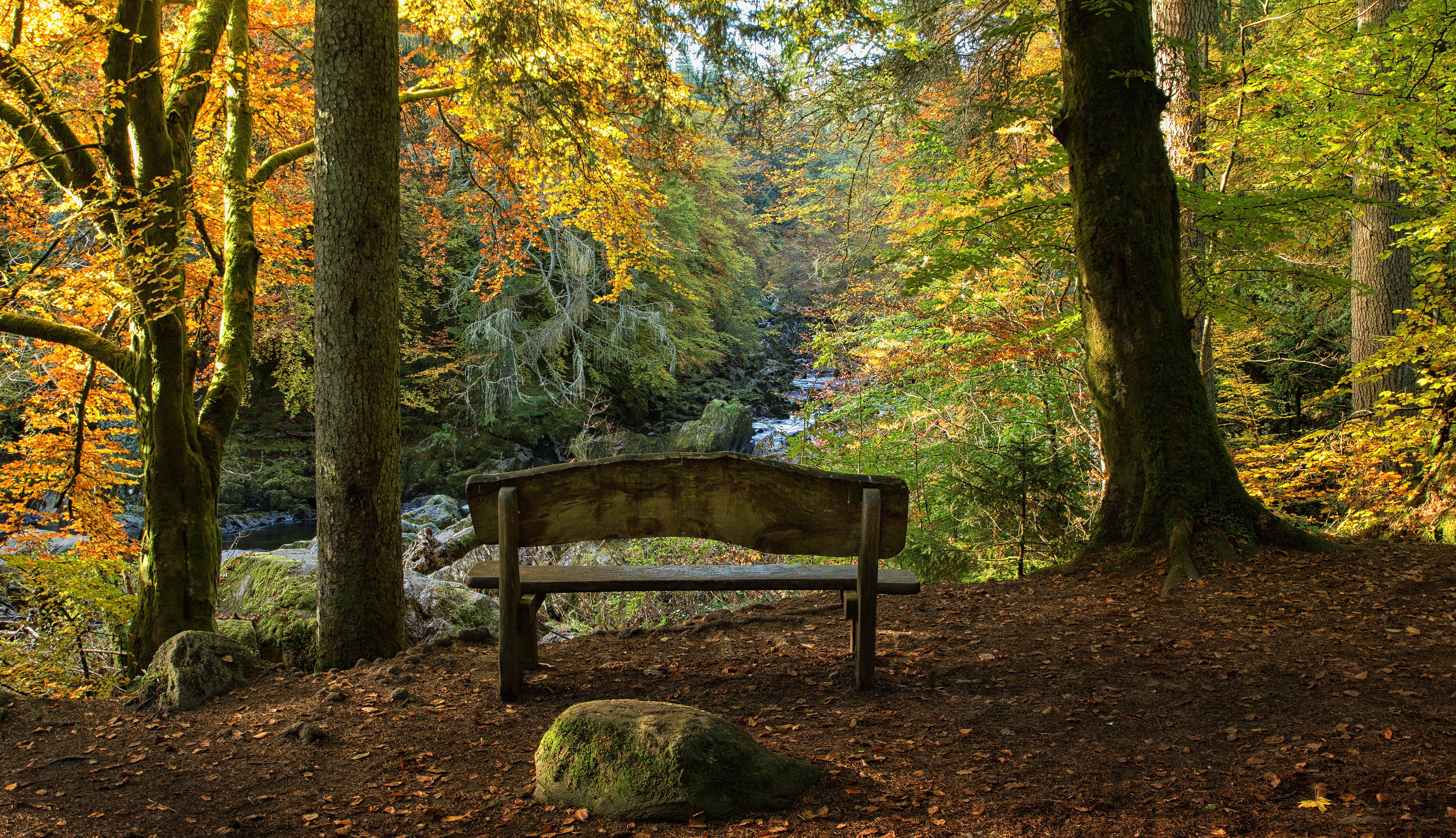 scotland, Parks, Autumn, Stones, Trees, Bench, Trunk, Tree, Hermitage, Nature Wallpaper
