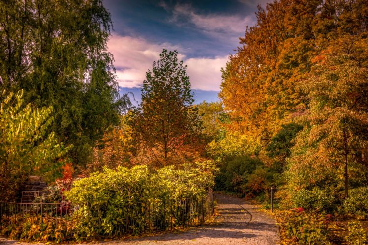 usa, Gardens, Autumn, Trees, Shrubs, Trail, Snug, Harbor, Botanical, Garden, Nature HD Wallpaper Desktop Background