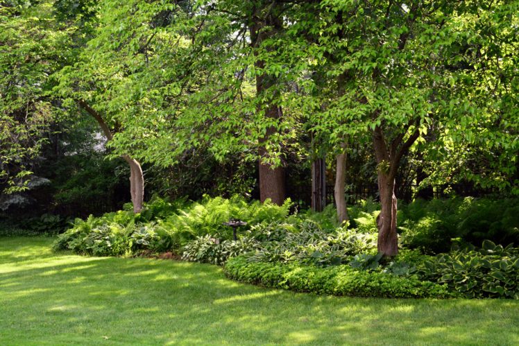 usa, Parks, Trees, Grass, Detroit, Garden, Nature HD Wallpaper Desktop Background