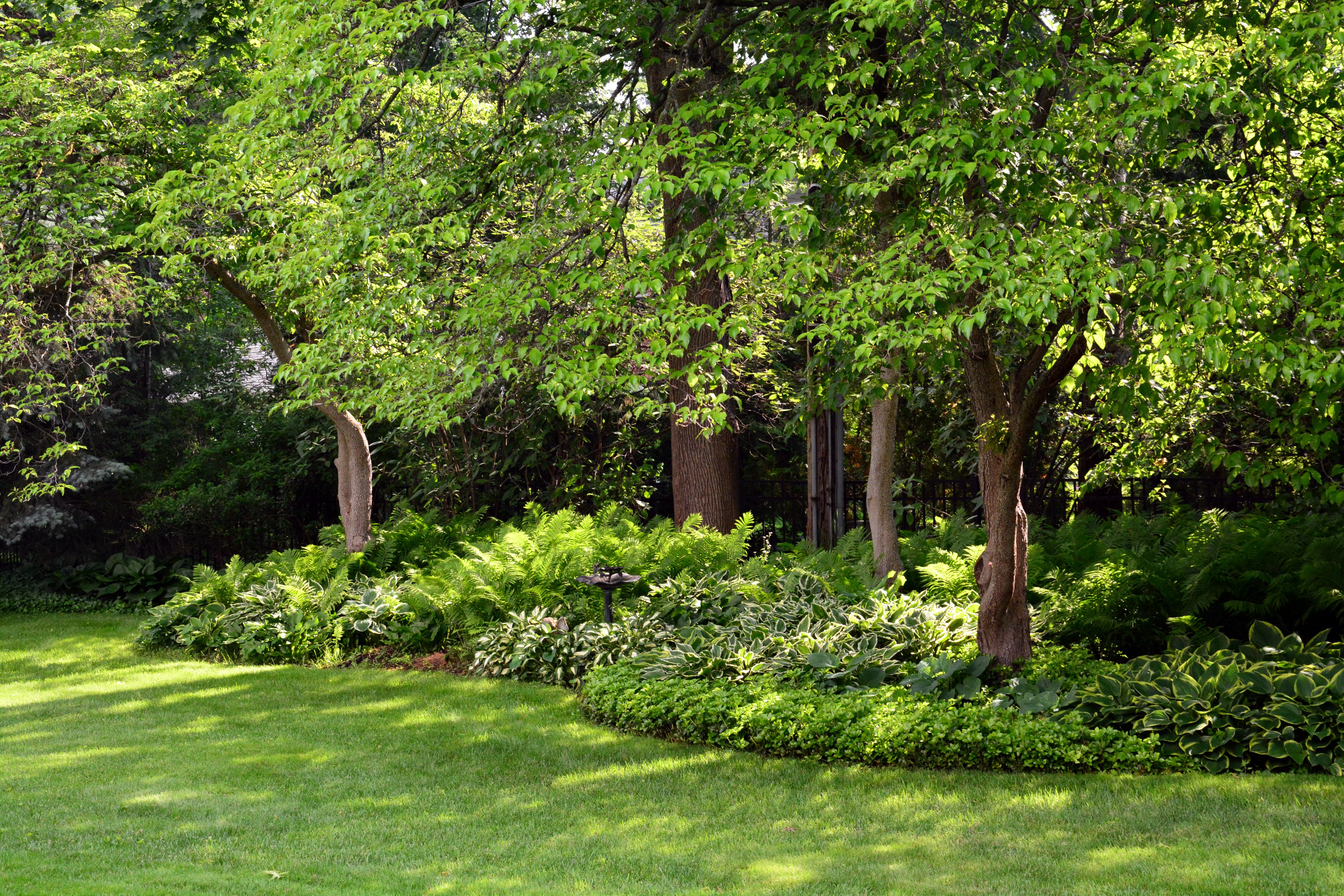 usa, Parks, Trees, Grass, Detroit, Garden, Nature Wallpaper