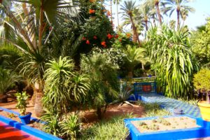 morocco, Gardens, Shrubs, Palma, Jardin, Majorelle, Marrakech, Nature