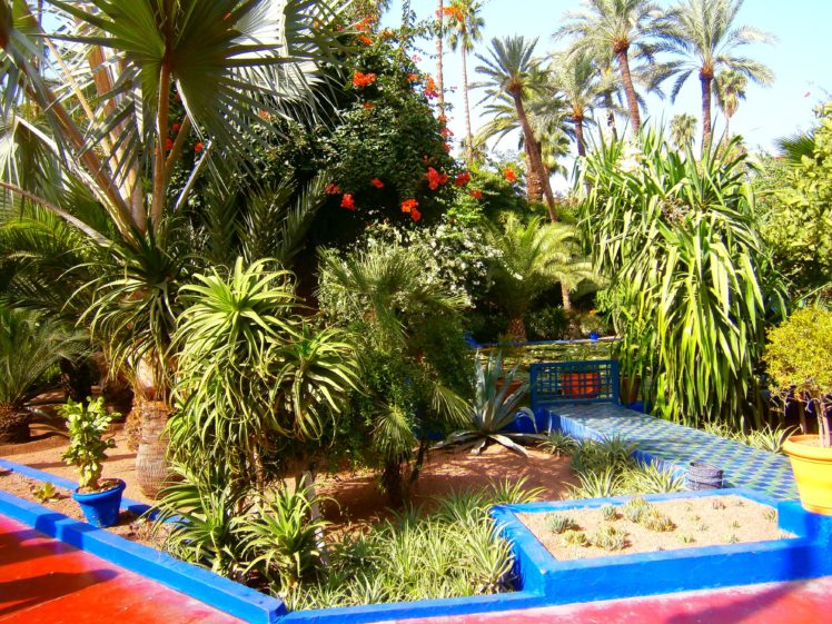 morocco, Gardens, Shrubs, Palma, Jardin, Majorelle, Marrakech, Nature HD Wallpaper Desktop Background