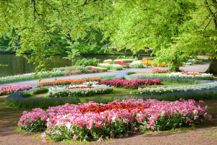 netherlands, Parks, Tulips, Keukenhof, Gardens, Nature HD Wallpaper Desktop Background