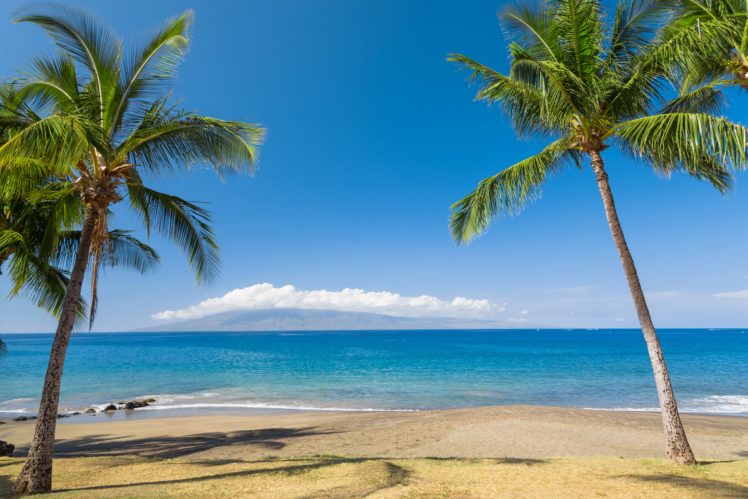 tropics, Coast, Sea, Ocean, Hawaii, Palma, Sand, Nature HD Wallpaper Desktop Background