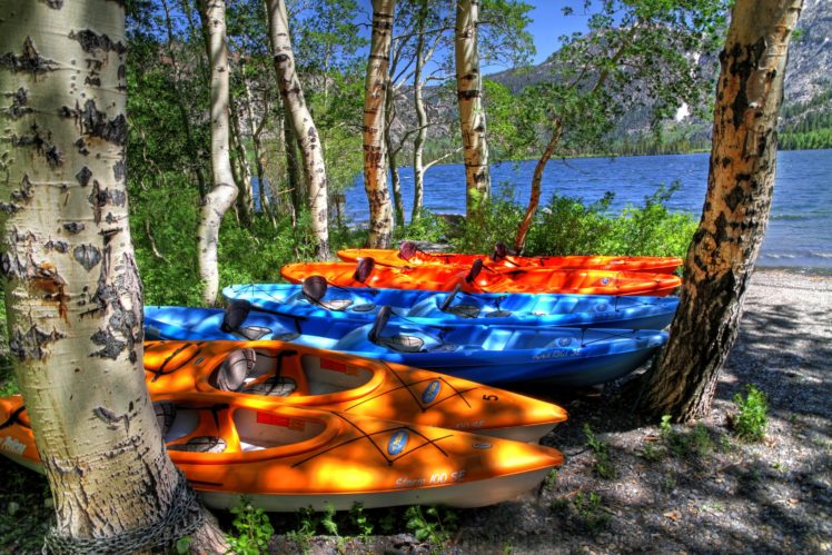 usa, Lake, Boats, California, Trunk, Tree, June, Lake, Nature HD Wallpaper Desktop Background