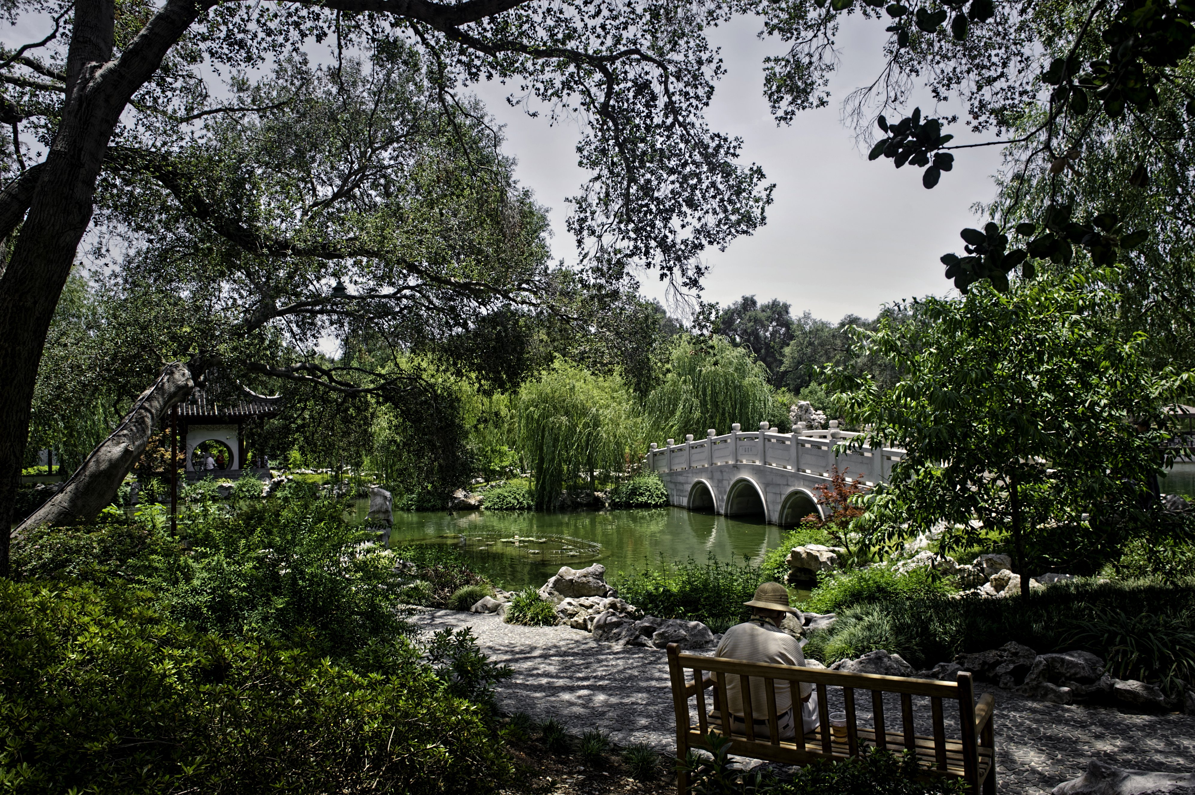 usa, Gardens, Pond, Bridges, California, Trees, Shrubs