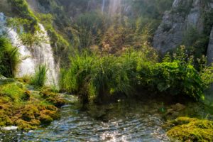 croatia, Parks, Waterfalls, Grass, Moss, Plitvice, National, Park, Nature