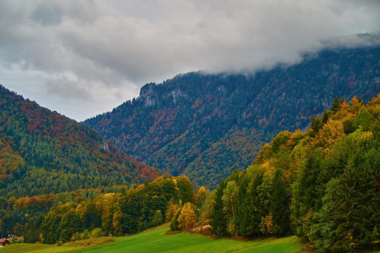 germany, Mountains, Forests, Autumn, Trees, Inzell, Nature HD Wallpaper Desktop Background