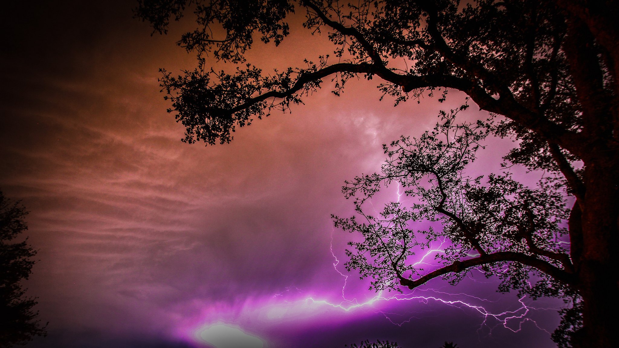 night, Sky, Clouds, Lightning, Tree Wallpaper