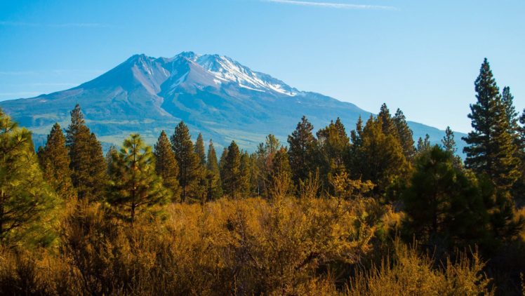 sky, Mountains, Forest, Trees HD Wallpaper Desktop Background