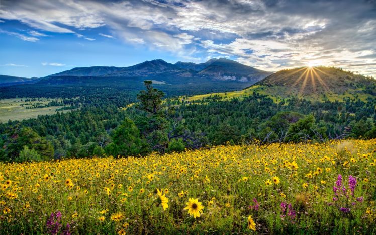 flowers, Mountains, Valleys, Mountains, Sunsets, Clouds, Sky, Sun HD Wallpaper Desktop Background