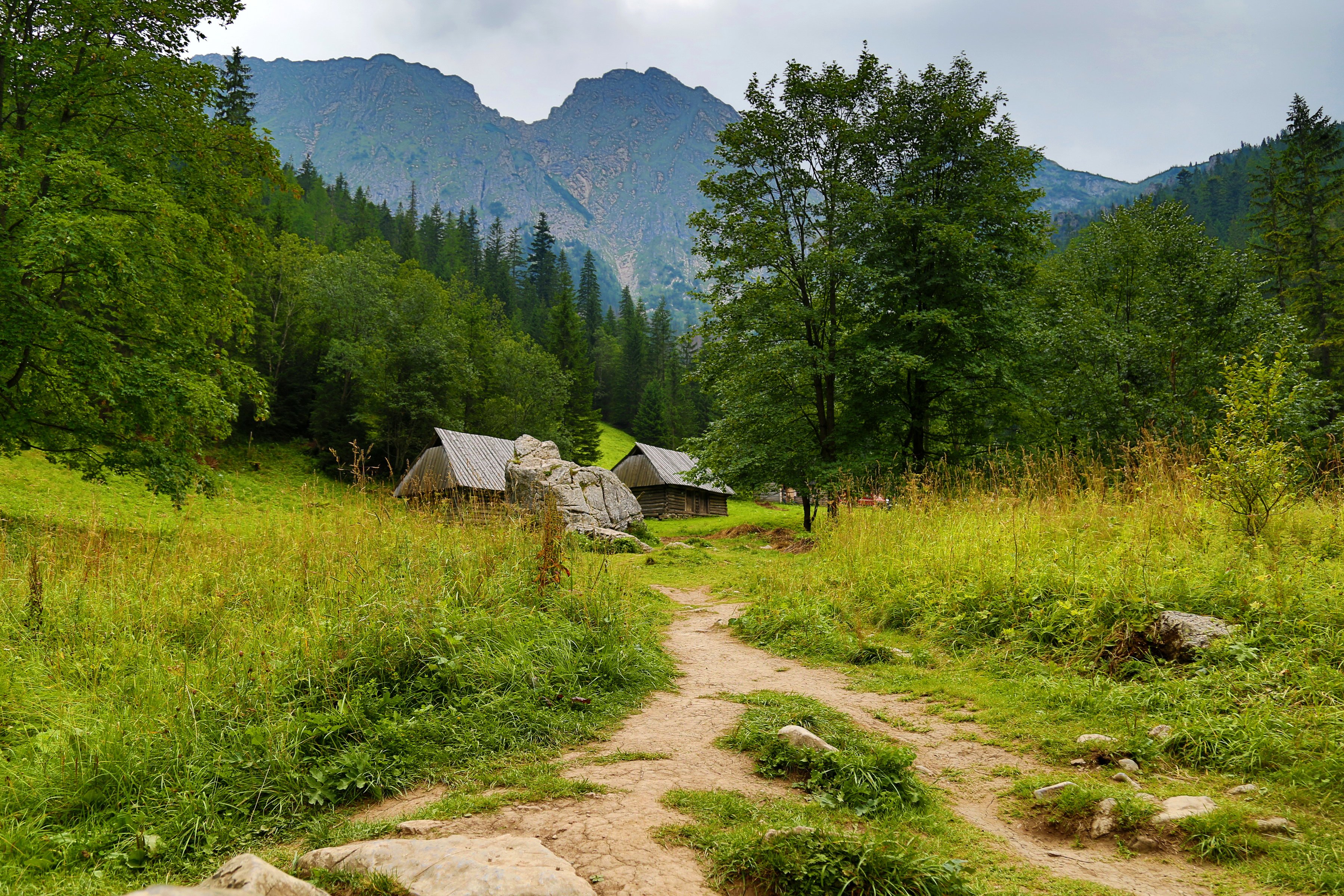 forest, Mountains, Footpath, Grass, Rocks, Trees, Houses Wallpaper