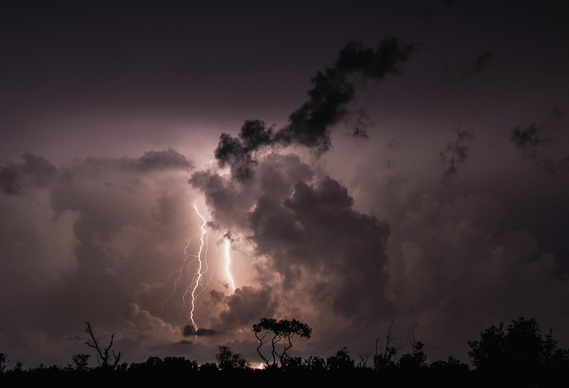 night, Clouds, Clouds, Thunder, Lightning, Trees Wallpapers HD