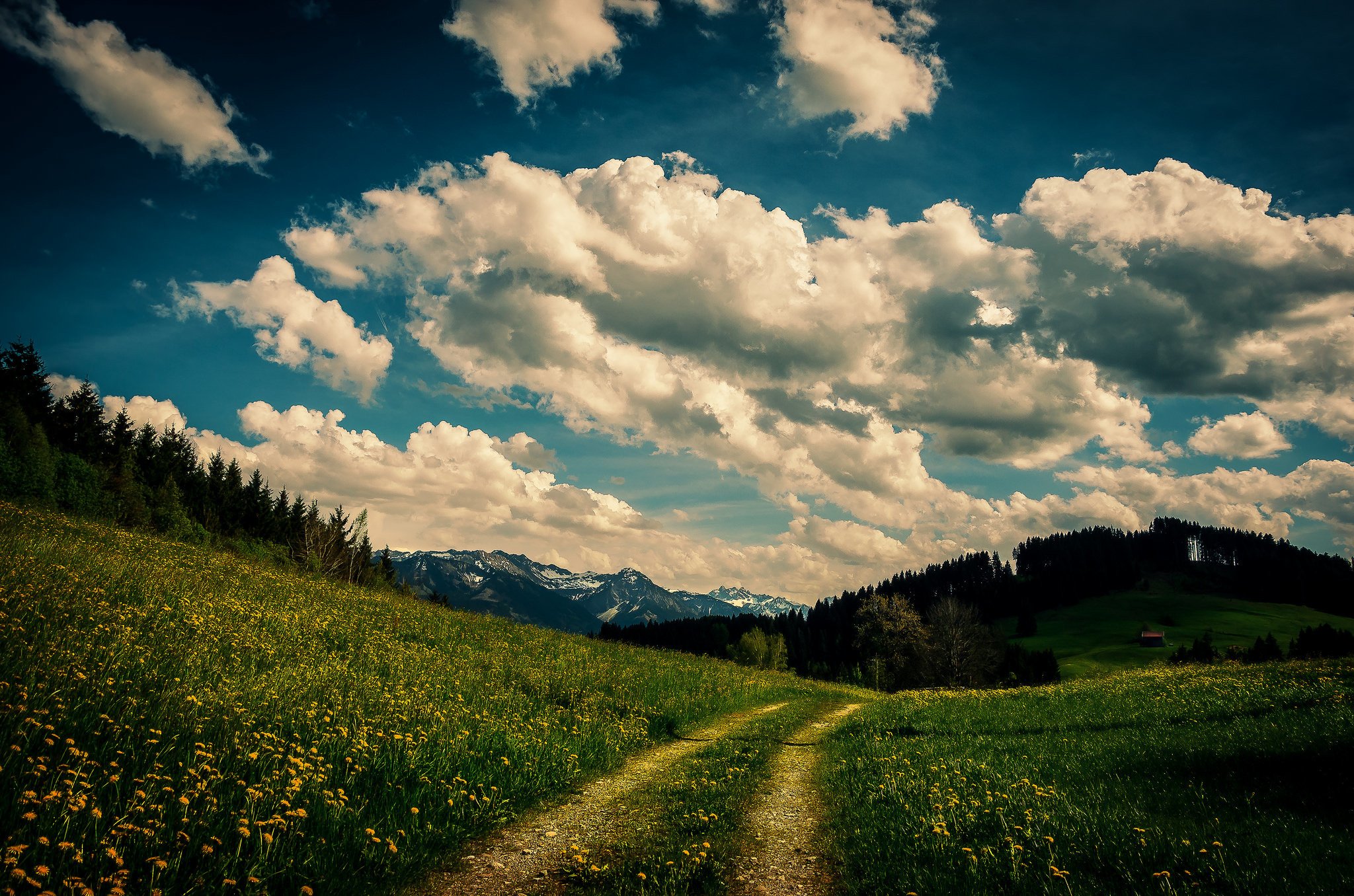 path, Flowers, Grass, Trees, House, Mountains, Clouds, Sky Wallpaper