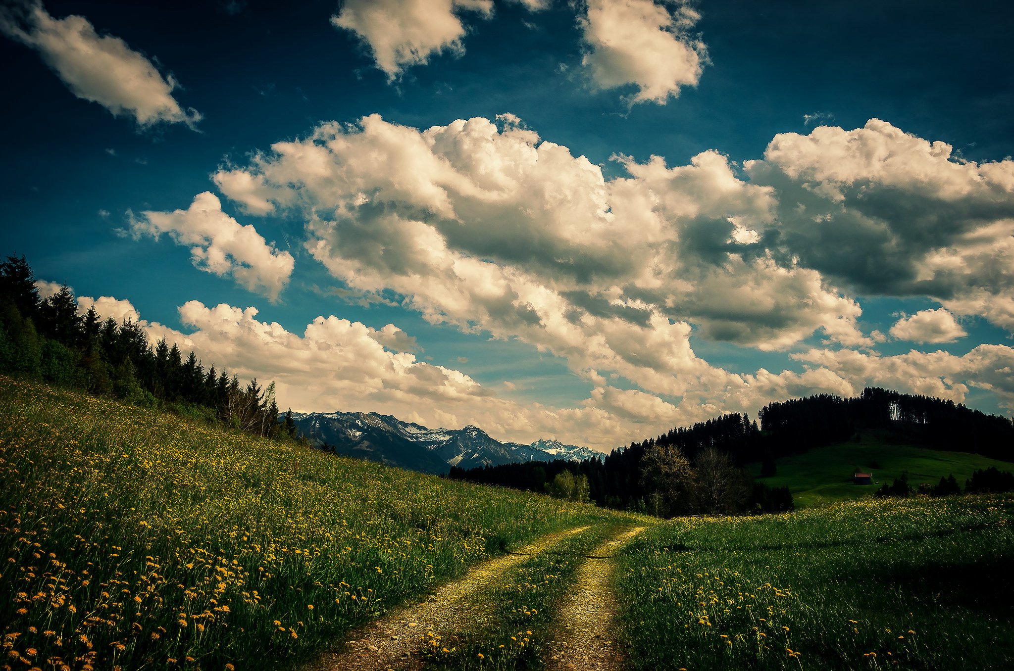 Path Flowers Grass Trees House Mountains Clouds Sky Wallpapers