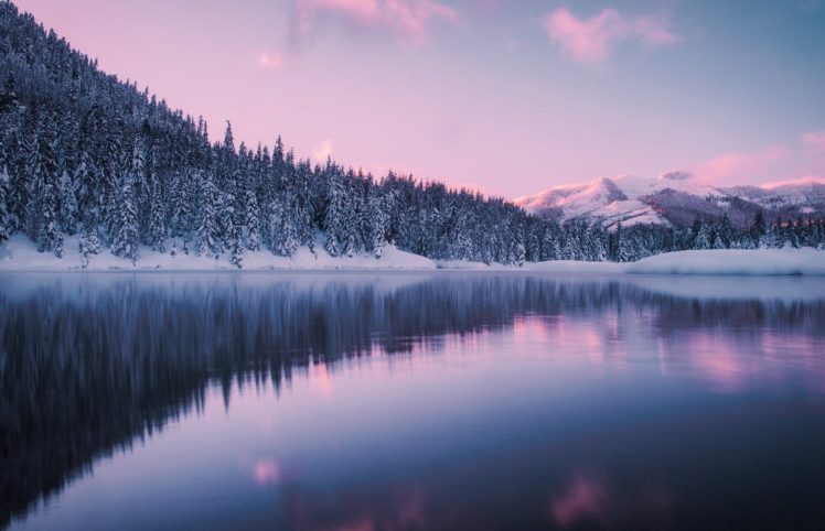 orest, Lake, Nature, Reflection, Winter HD Wallpaper Desktop Background