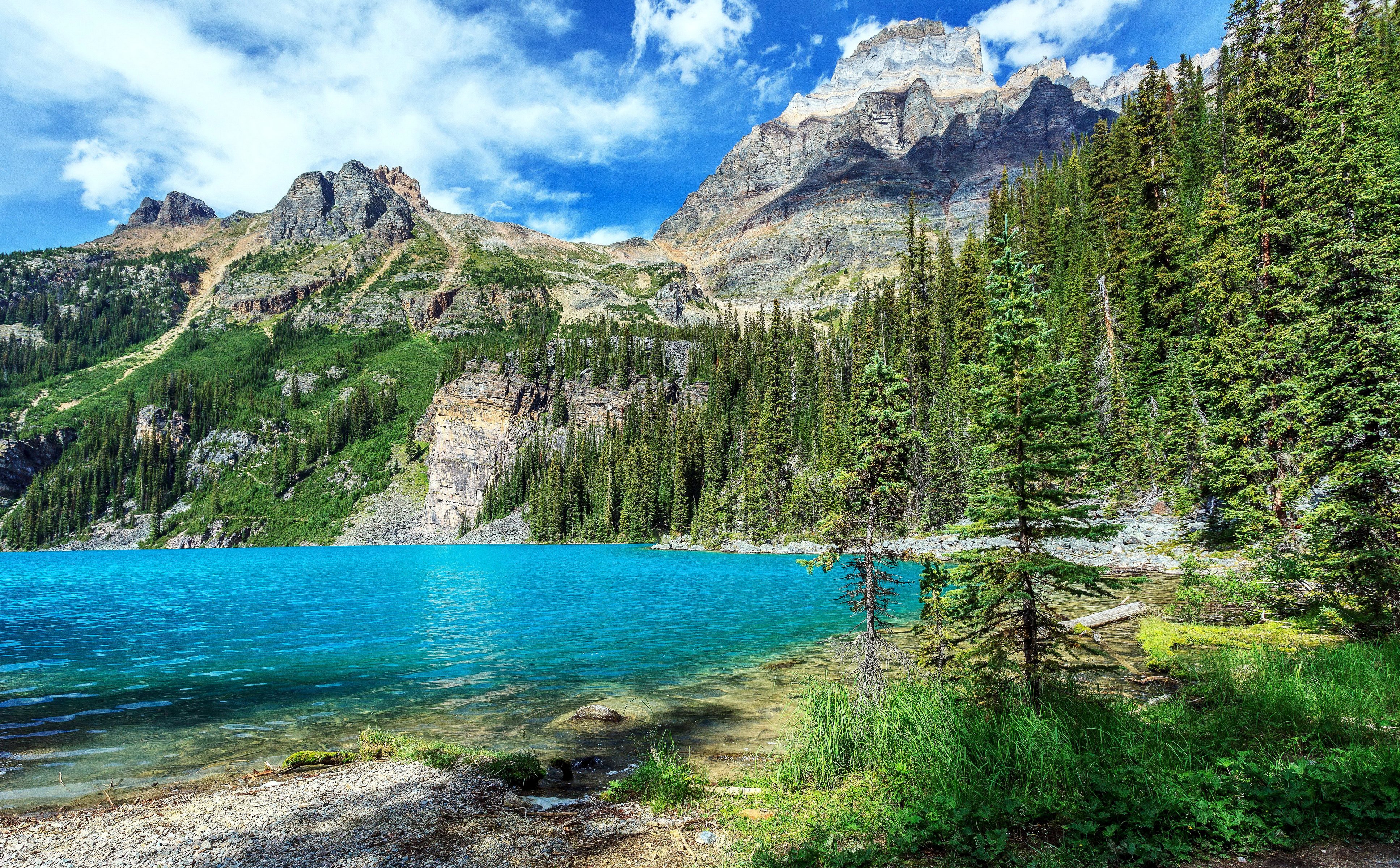 Winter Lake Background