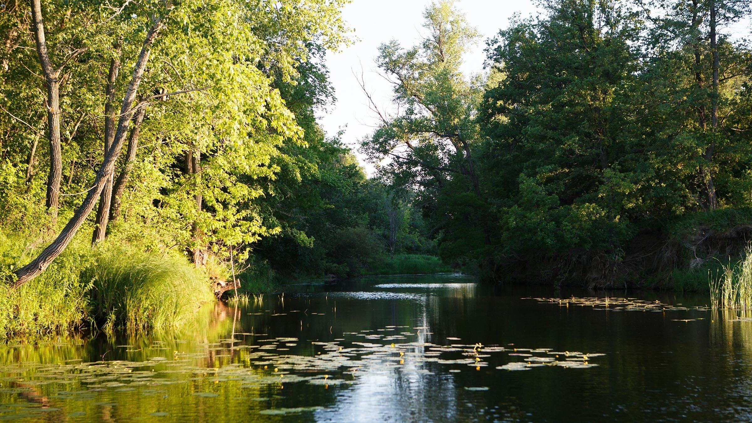 river, Hill, Hut, Trees Wallpaper