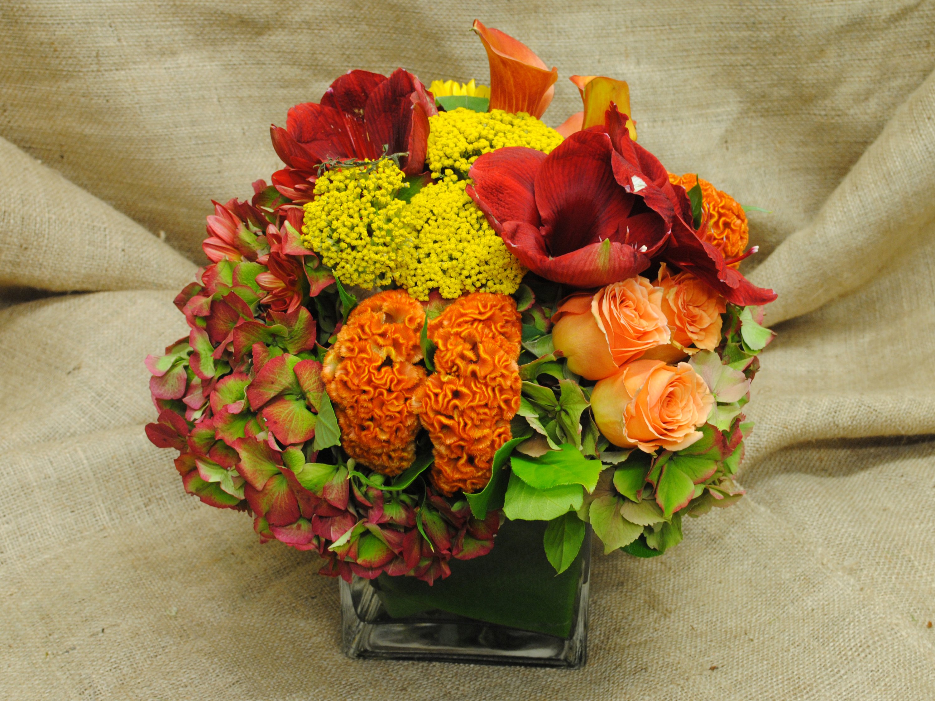 lowering, Trees, Branches, Pink, Color, Flowers Wallpaper