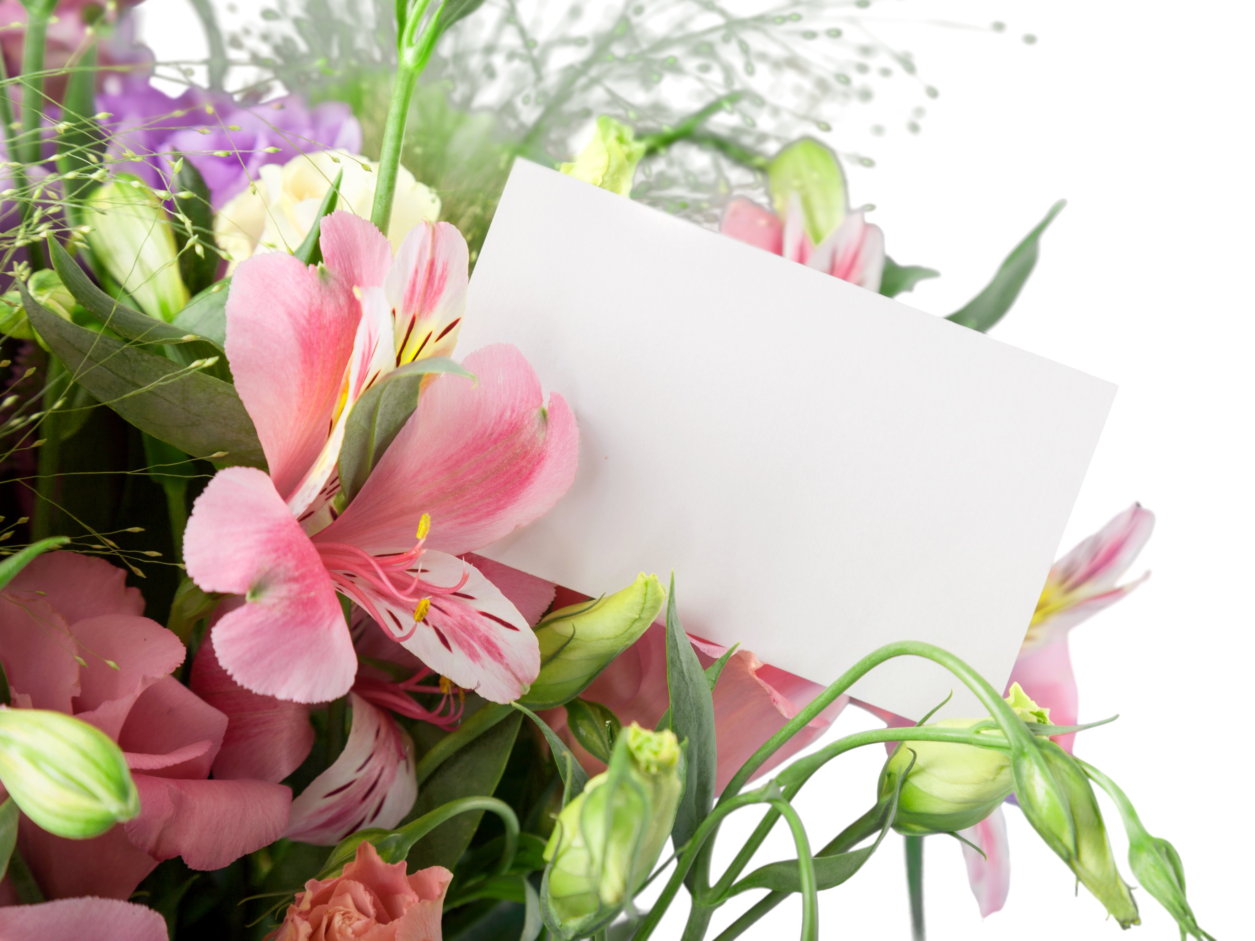 lowering, Trees, Branches, Pink, Color, Flowers Wallpaper