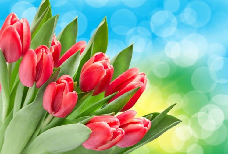 till life, Daffodils, Apples, Easter, Vase, Book, Eggs, Colored, Background, Flowers HD Wallpaper Desktop Background