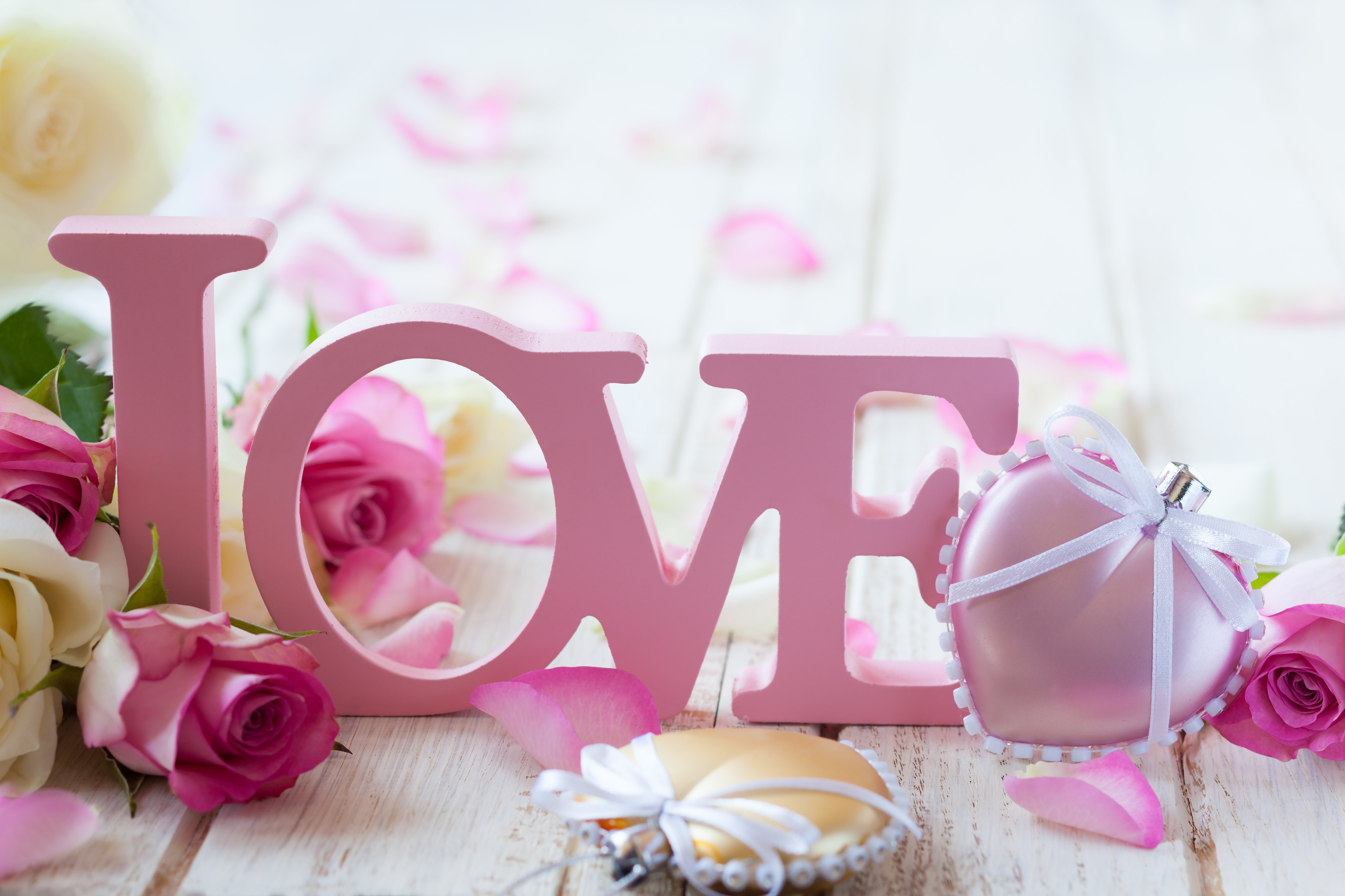 eranium, Closeup, Flowers Wallpaper