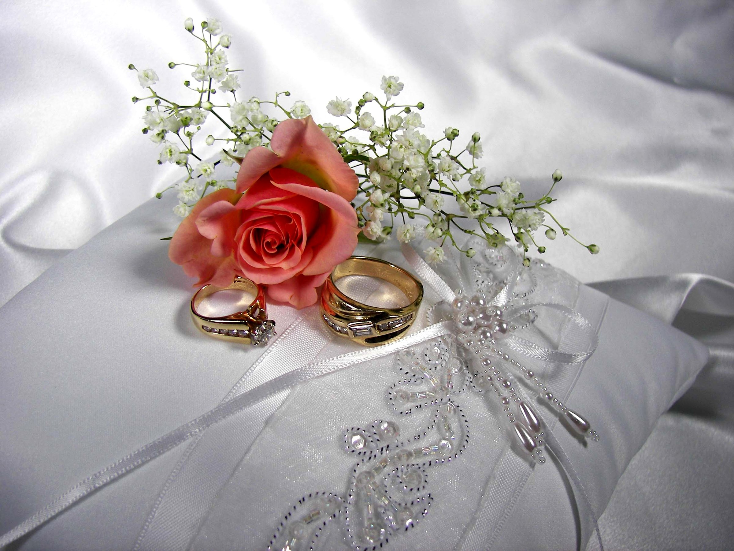 eranium, Closeup, Flowers Wallpaper