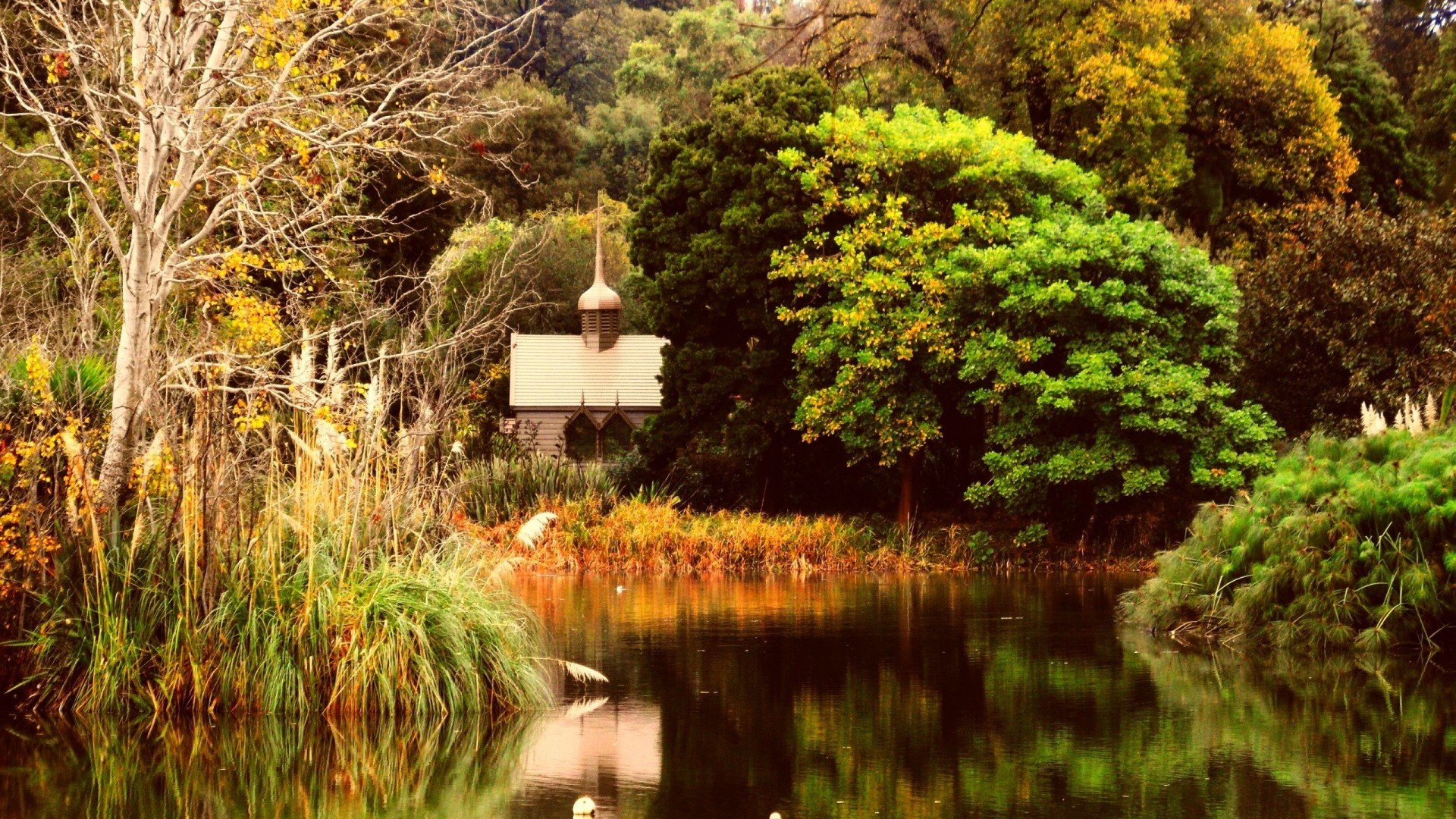 paisaje, Naturaleza, Arboles, Bosque Wallpaper