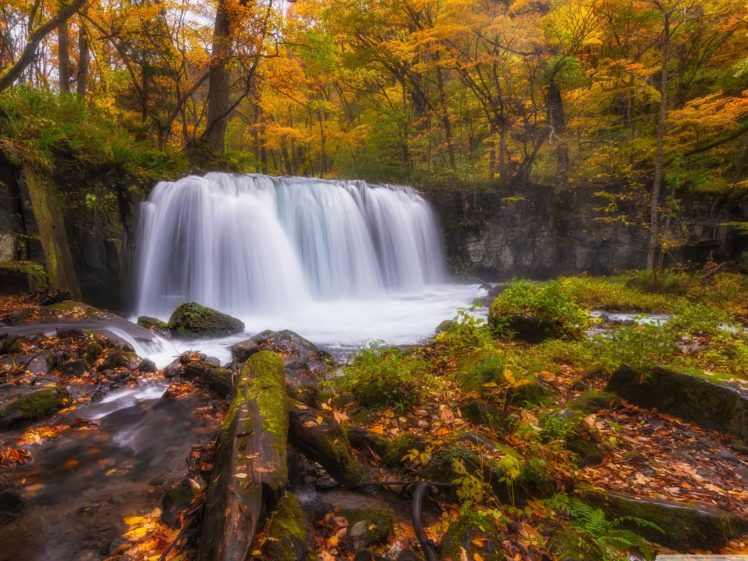 nature, Forest, Autumn, Amazing, Beauty, Waterfall, Landscape HD Wallpaper Desktop Background