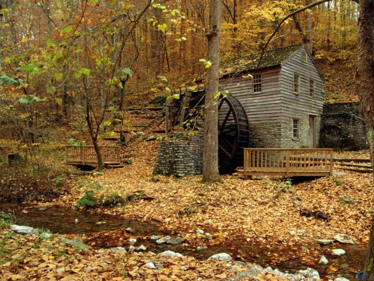 nature, Forest, House, Autumn, Amazing, Beauty, River, Landscape HD Wallpaper Desktop Background