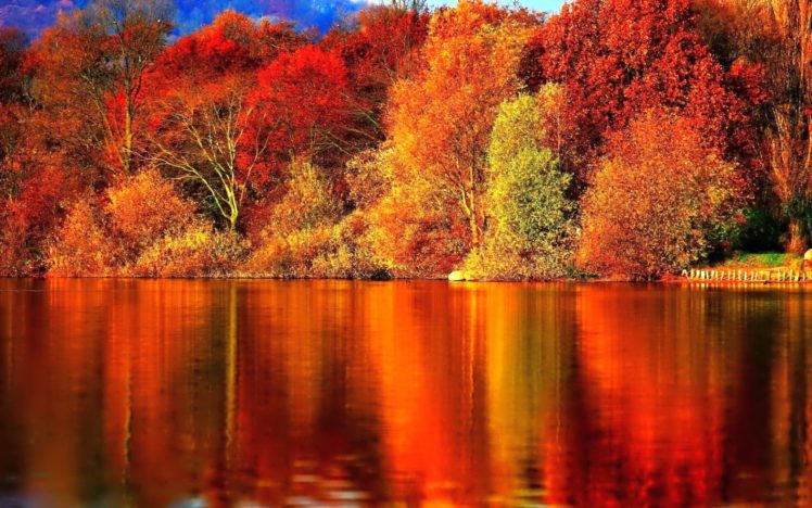 nature, Forest, Red, Autumn, Amazing, Beauty, Lake, Landscape HD Wallpaper Desktop Background