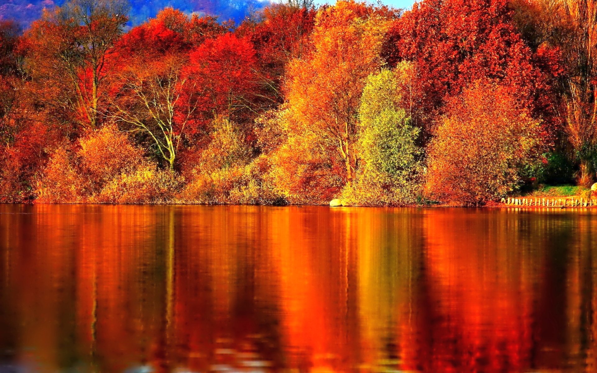 nature, Forest, Red, Autumn, Amazing, Beauty, Lake, Landscape Wallpaper