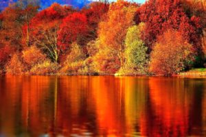 nature, Forest, Red, Autumn, Amazing, Beauty, Lake, Landscape