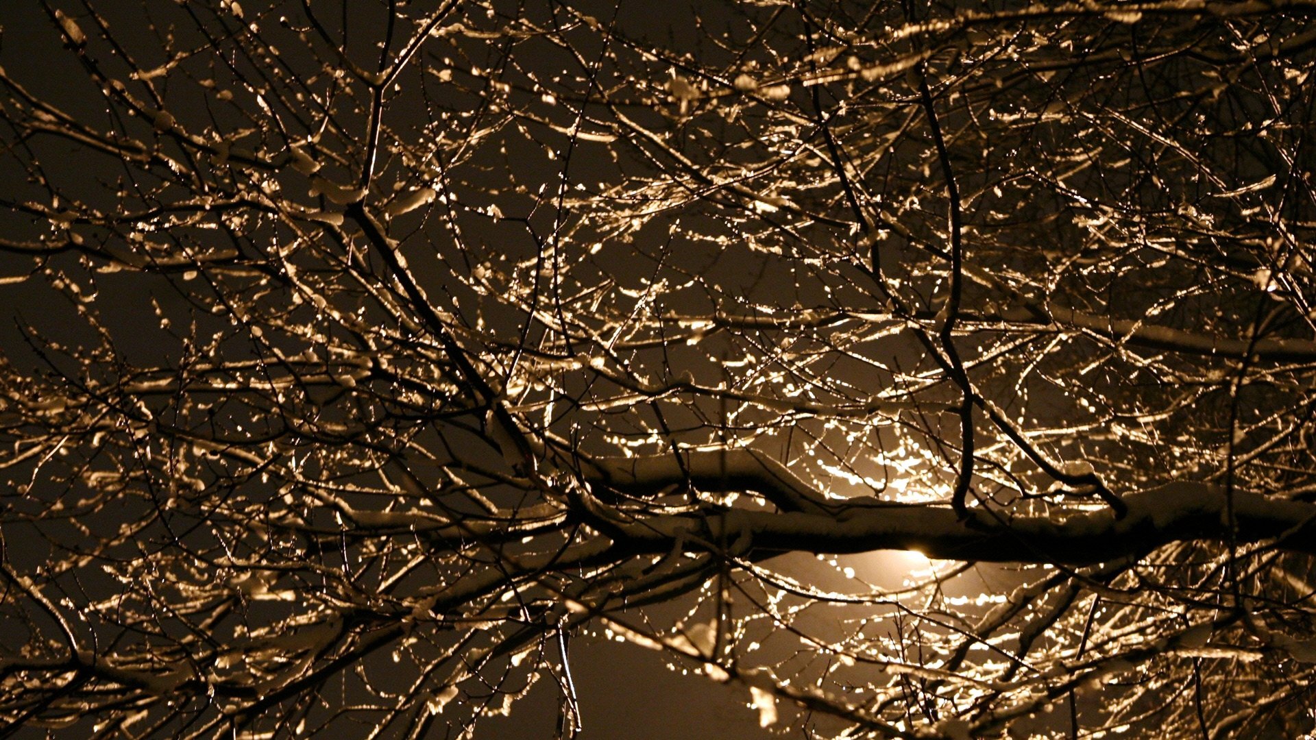 branches, City, City, Street, Night, Dry, Leafless, Light, Nature, Night, Old, Street, Street, Light, Texture, Tree, Winter Wallpaper