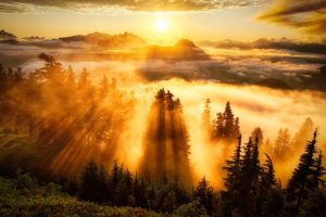clouds, Filters, Forest, Golden, Great, Landscape, Magnificent, Mountains, Pine, Trees, Scenic, Sun, Sunshine, Through, Wonder