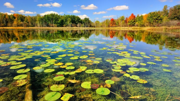 nature, Autumn, Beauty, Blue, Sky, Color, Forest, Lake, Lilies, Park, Photo, Tree, View, Water HD Wallpaper Desktop Background