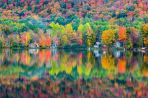 nature, Autumn, Beauty, Color, Forest, Lake, Landscapes, Life, Season, Shadow, Trees, Water