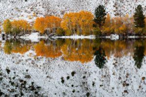 nature, Bishop, Colors, Creek, Canyon, Early, Fall, Forest, Lake, Mountains, Reflected, Sabrina, Trees, Winter