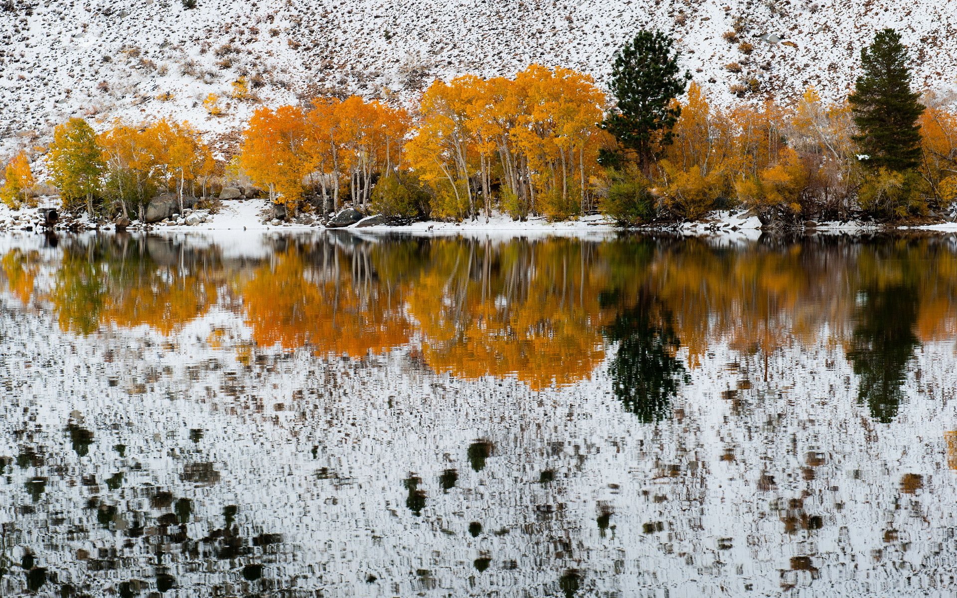nature, Bishop, Colors, Creek, Canyon, Early, Fall, Forest, Lake, Mountains, Reflected, Sabrina, Trees, Winter Wallpaper